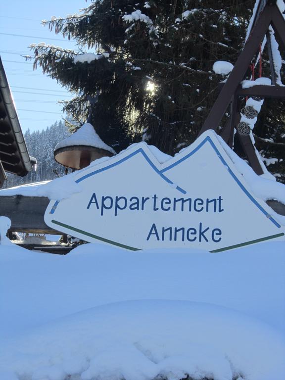 Appartement Anneke Niedernsill Kültér fotó